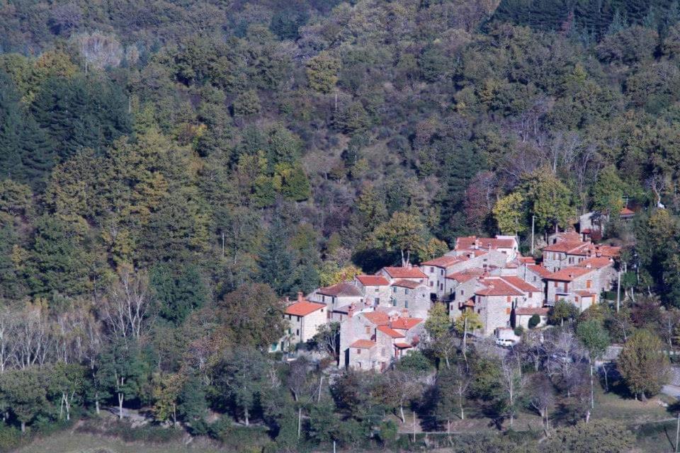 B&B Borgo Valagnesi Pratovecchio Stia Esterno foto