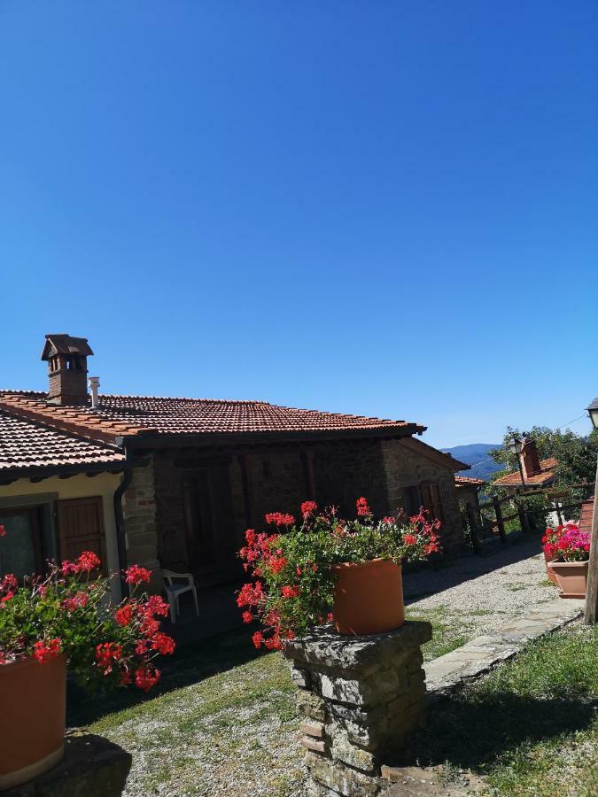 B&B Borgo Valagnesi Pratovecchio Stia Esterno foto